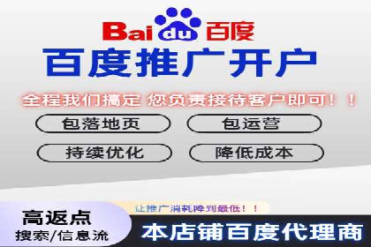 竞价排名案例分析：电商行业